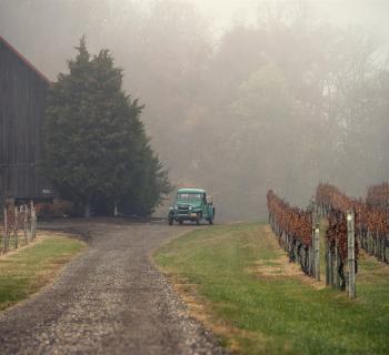 Great Frogs Winery Photo