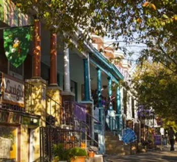 Avenue in Hampden Photo