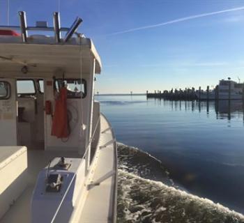 Capt. Pete's Fishing Charter "heading in" Photo