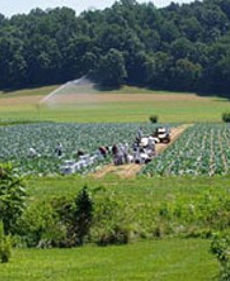Richardson Farms White Marsh Visitmaryland Org