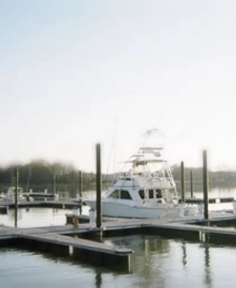 Queen Anne Marina Photo