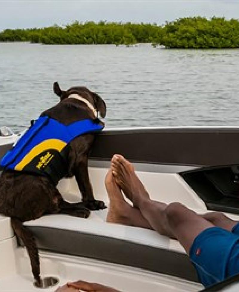 Couple with their dog relaxing on a boat  Photo
