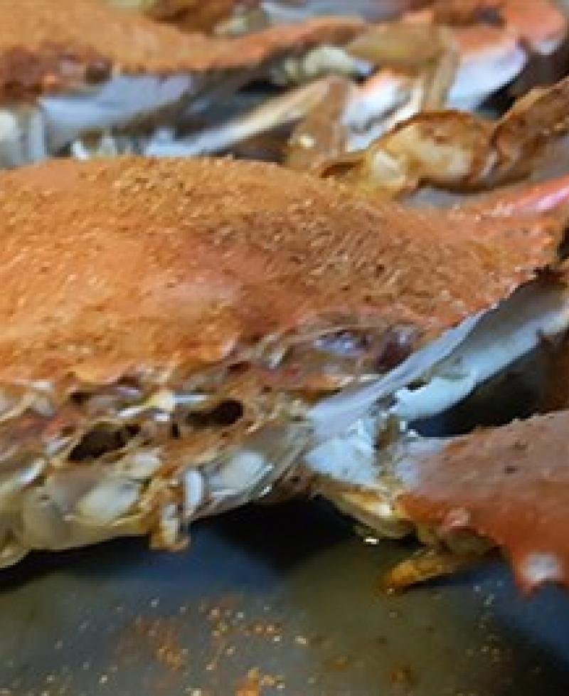 Clark Seafood VisitMaryland