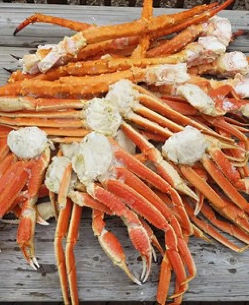 Crab legs Photo