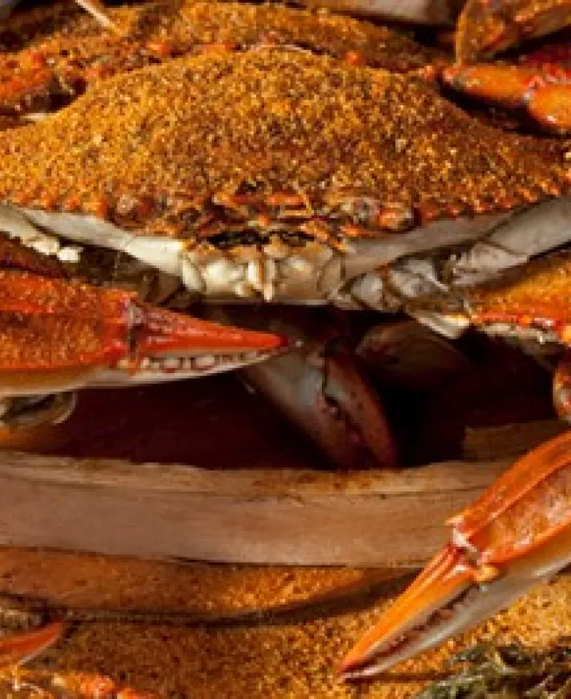 Steamed crabs Photo