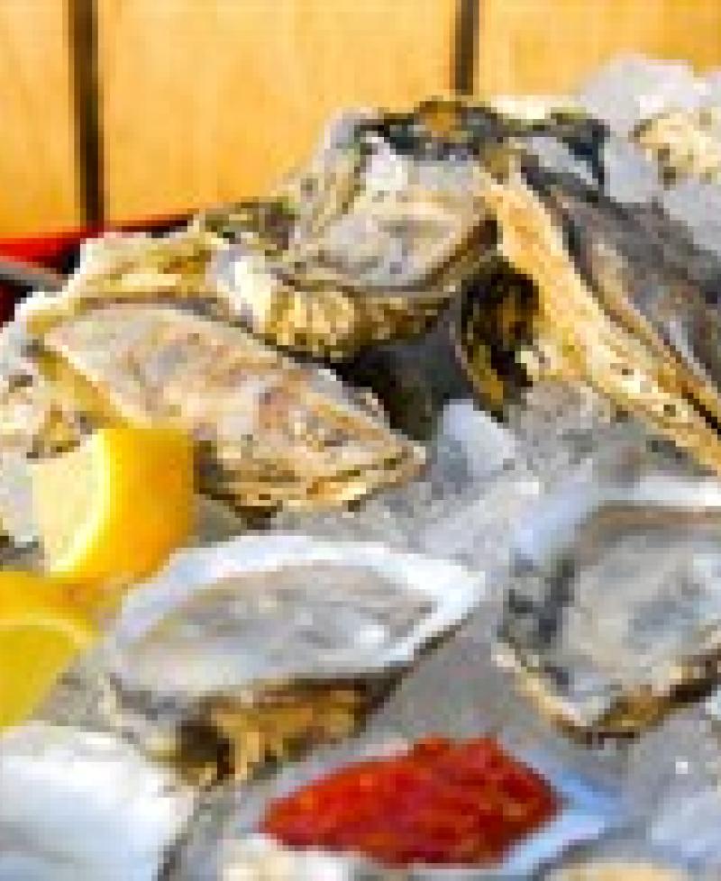 Oysters on ice Photo