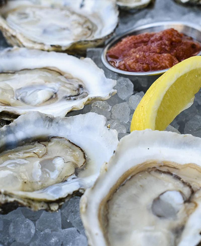 The Walrus Oyster & Ale House | VisitMaryland.org