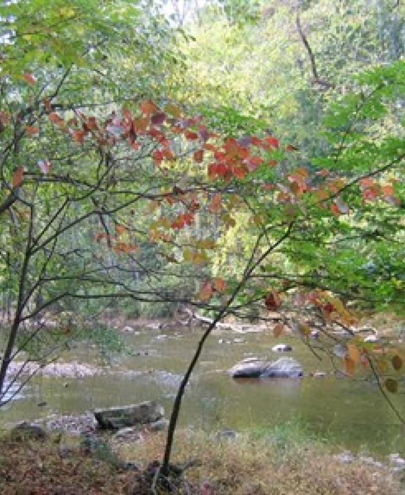 Palmer state park Photo