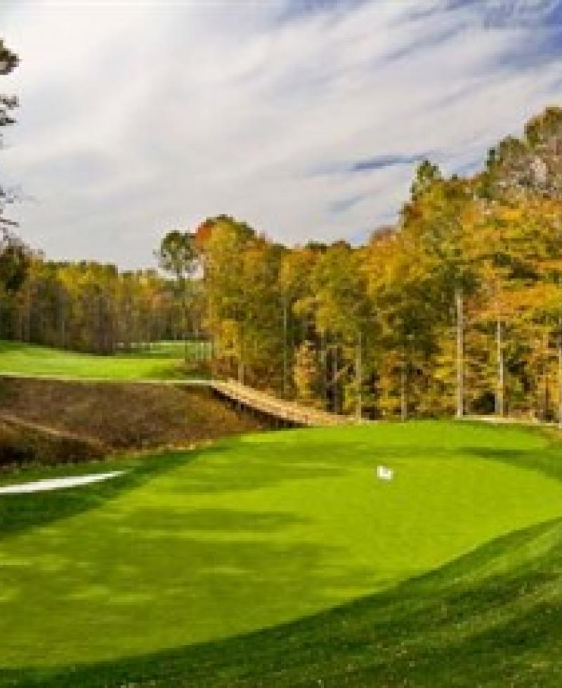 Are lake presidential golf clubs  any good? – is it  a good brand?