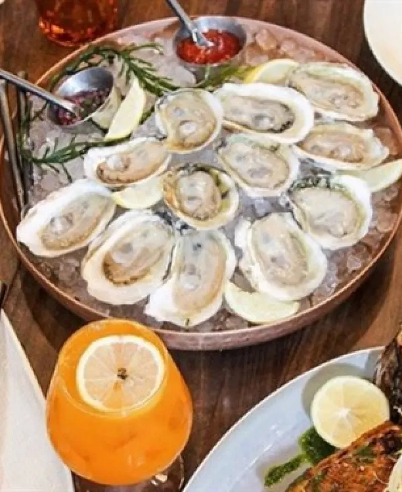 Oysters Photo