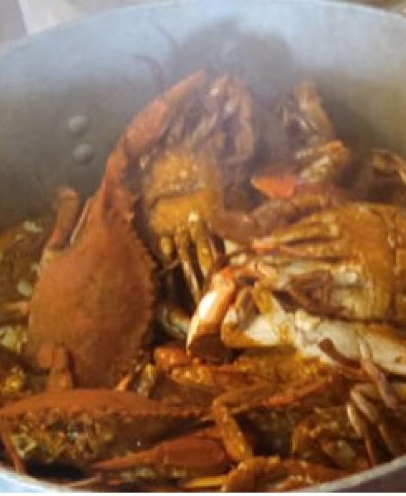 Crabs Photo