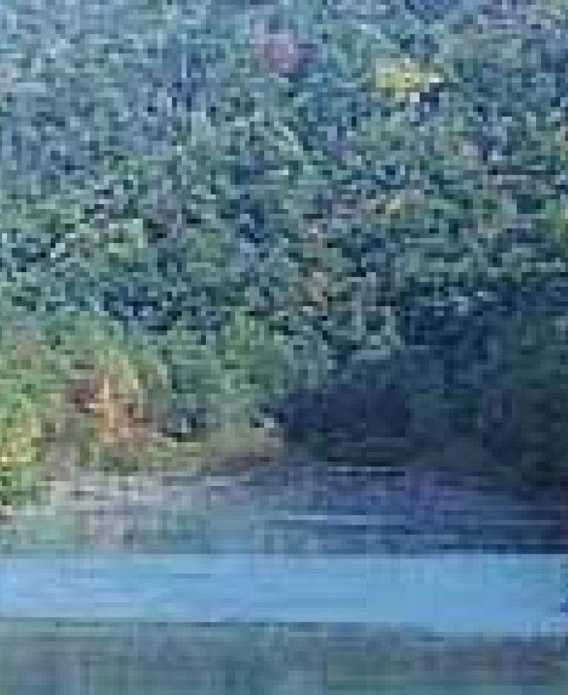 Savage River State Forest Photo
