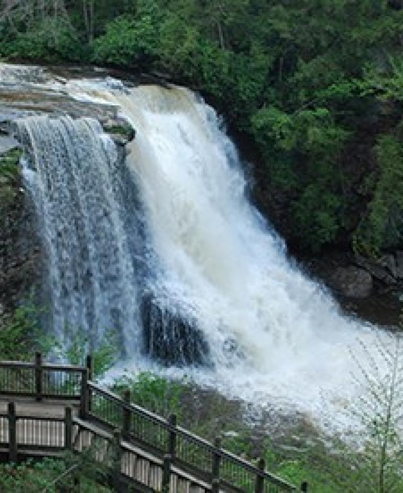 Swallow Falls State Park Map Swallow Falls State Park | Visitmaryland.org