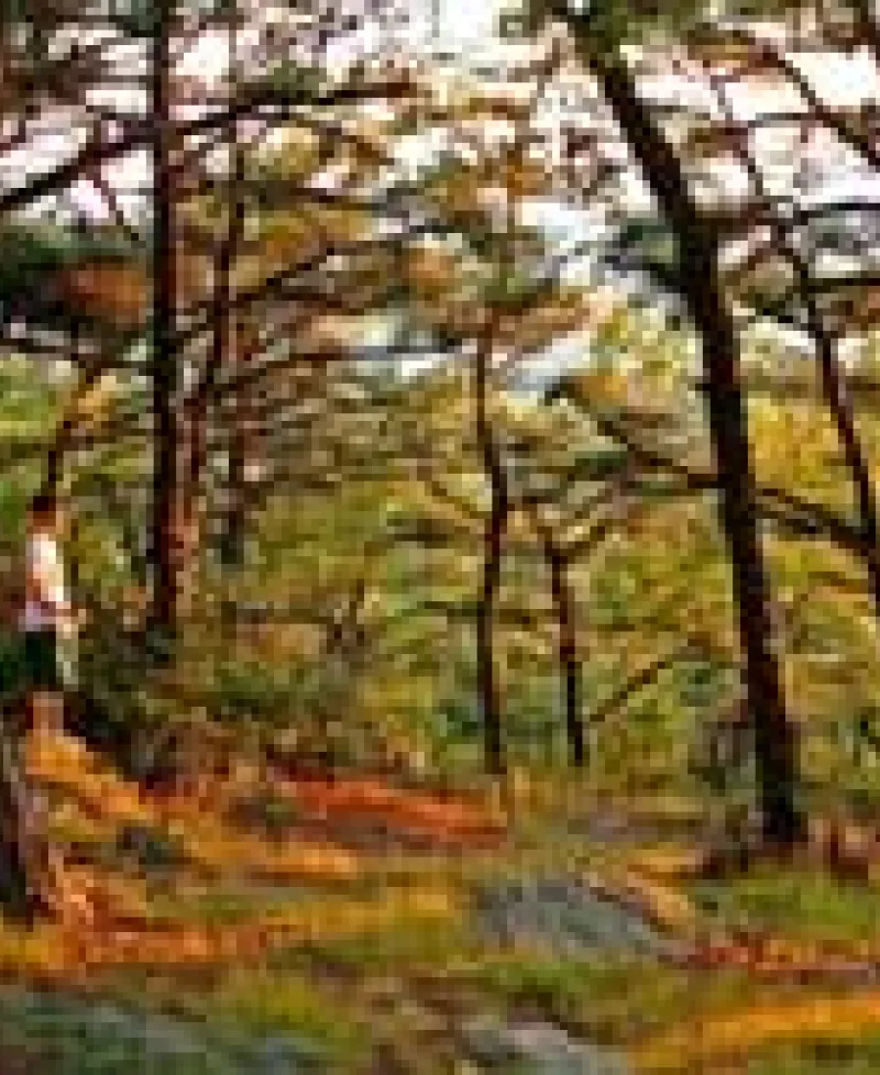 Gambrill State Park Photo