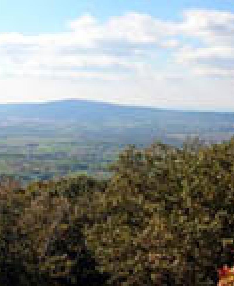 South Mountain Battlefield State Park Photo