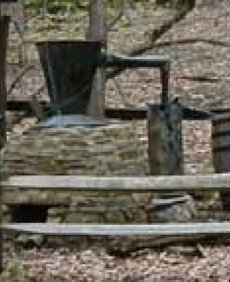 Whiskey Still Photo