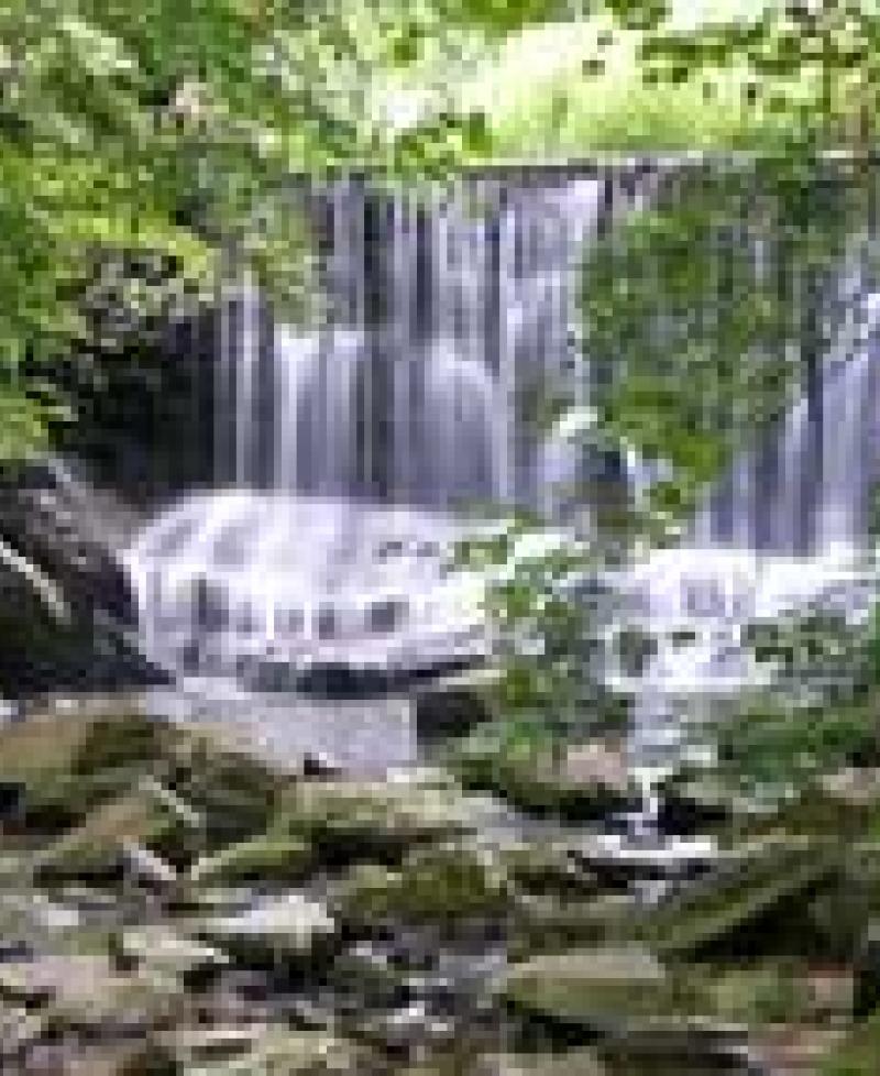 Susquehanna state park hiking discount