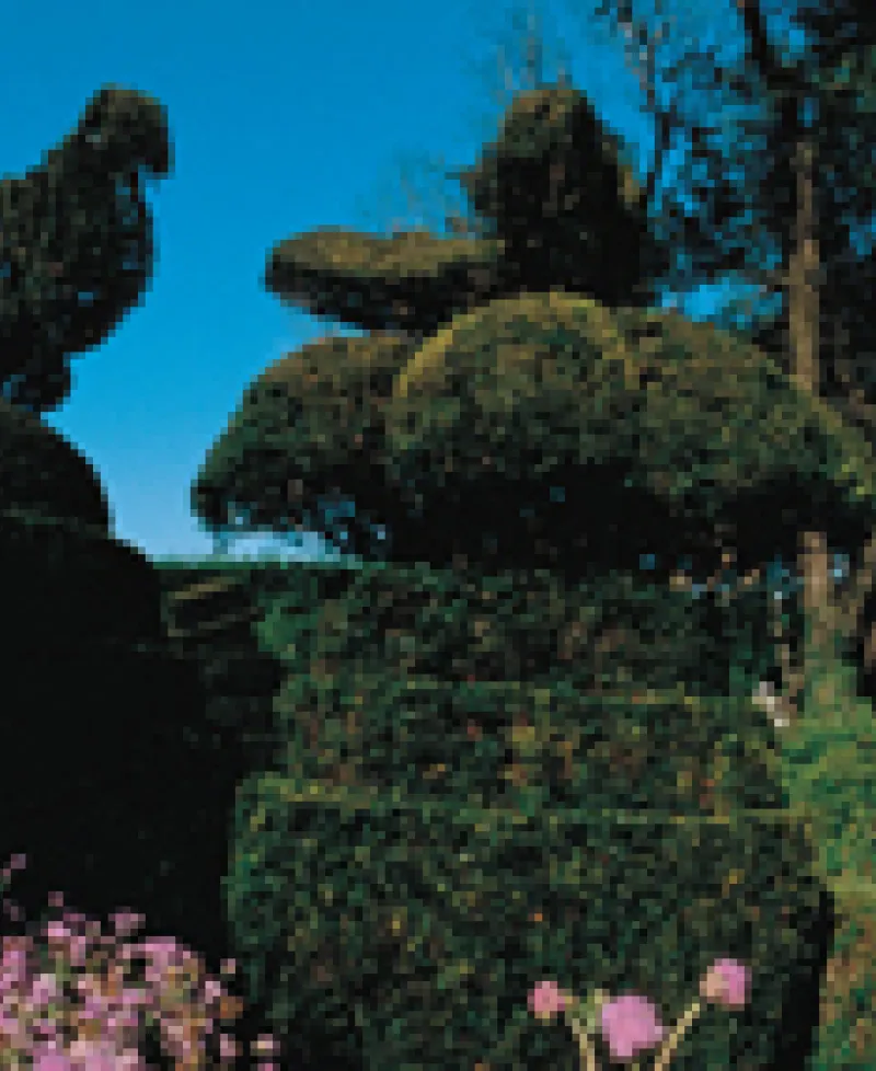 Ladew Gardens Photo
