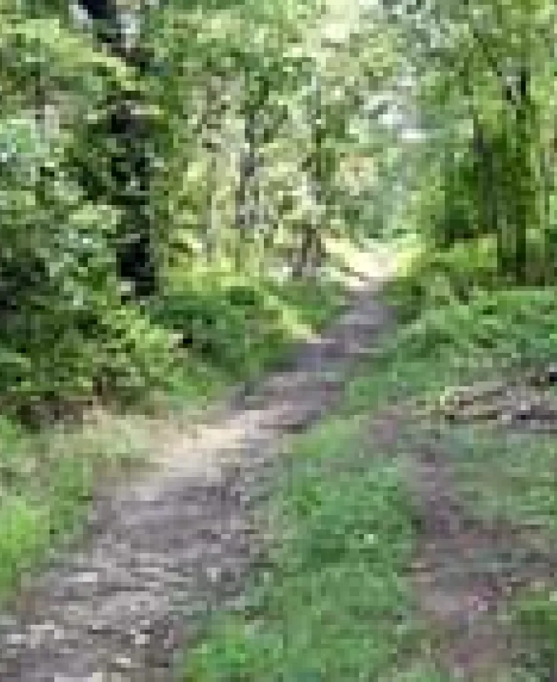 Soldiers Delight Natural Environnmental Area Photo