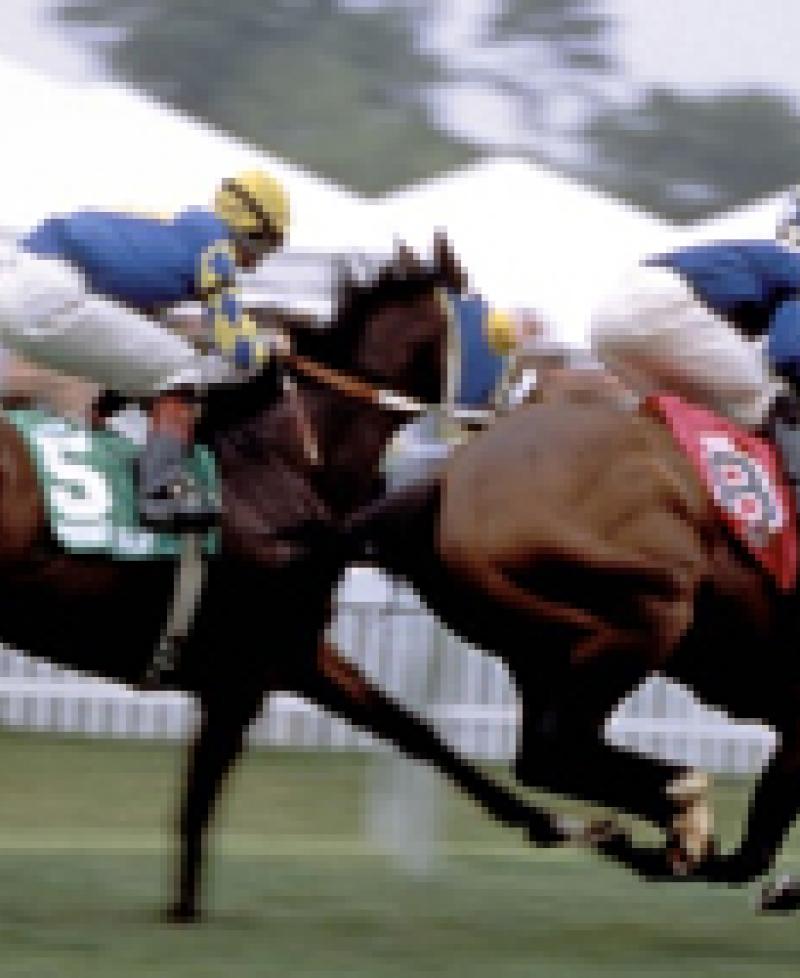 Pimlico Race Course VisitMaryland pimlico-race-course-visitmaryland