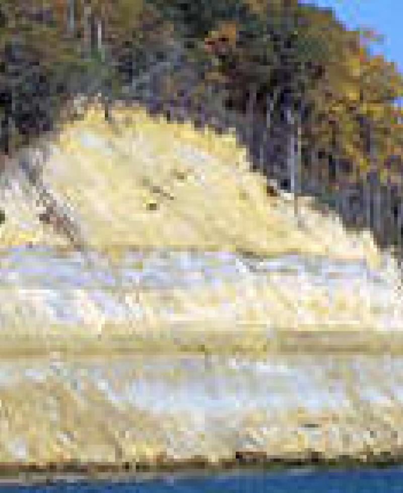 Calvert Cliffs State Park Photo