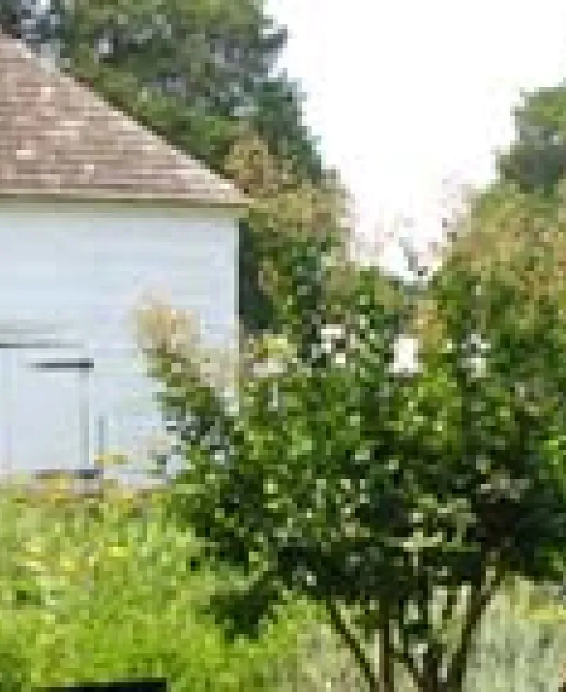 La Grange Plantation Photo