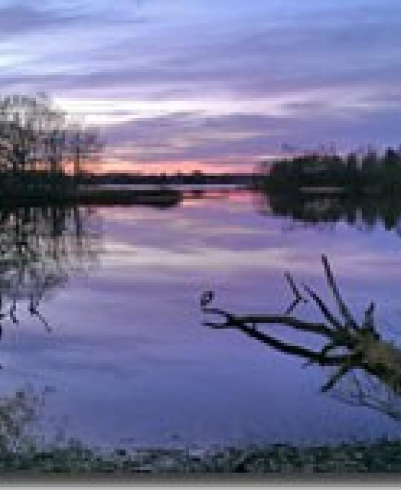 Wye Island Natural Resource Management Area