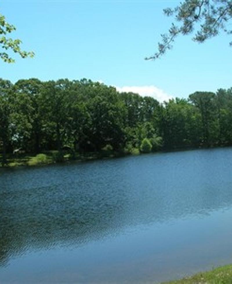 Escape the Ordinary: Unwind at Maryland's Take It Easy Campground