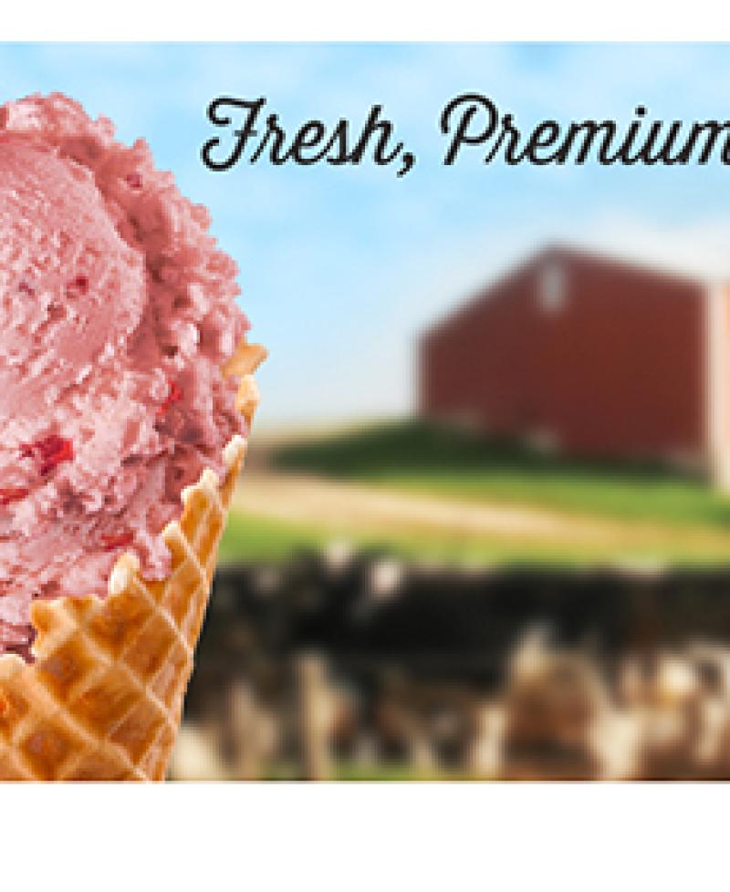 Bruster's Real Ice Cream-Havre de Grace Photo