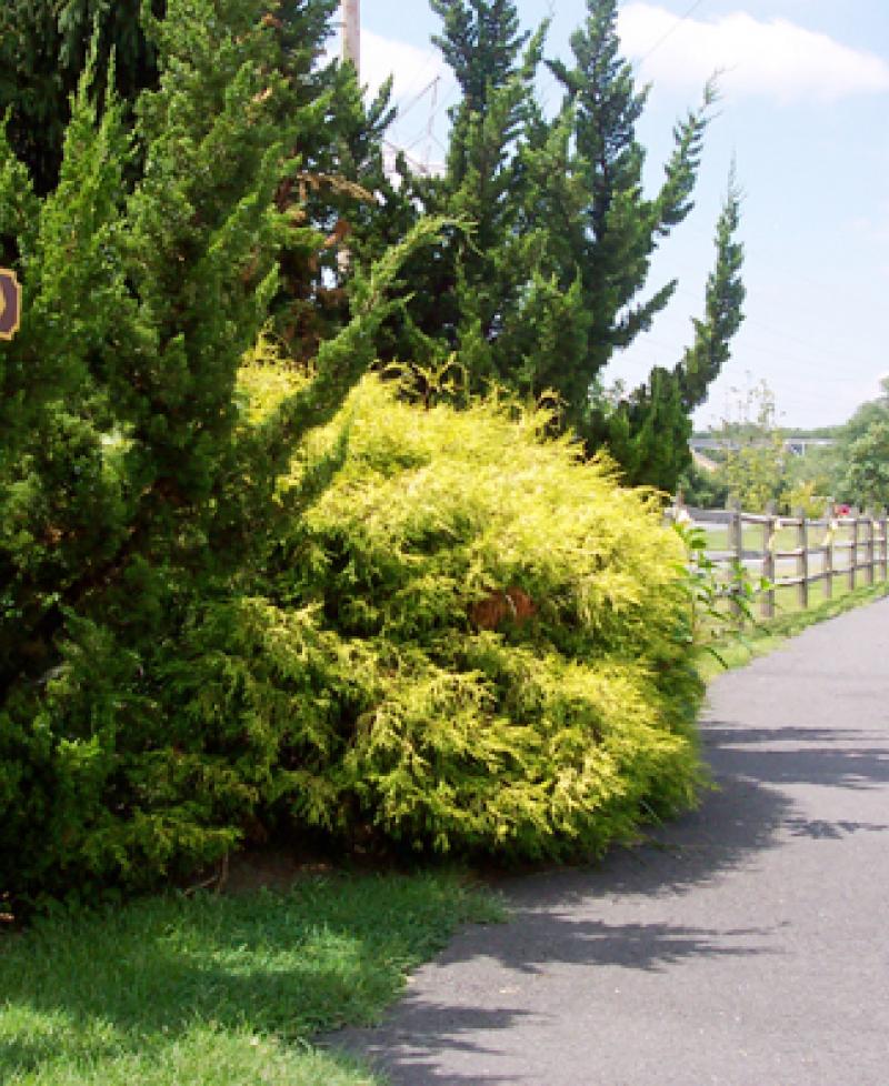 susquehanna state park bike trails