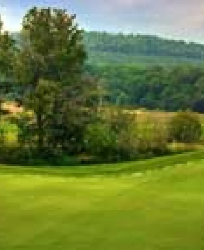 Greens at Wisp Golf Course Photo