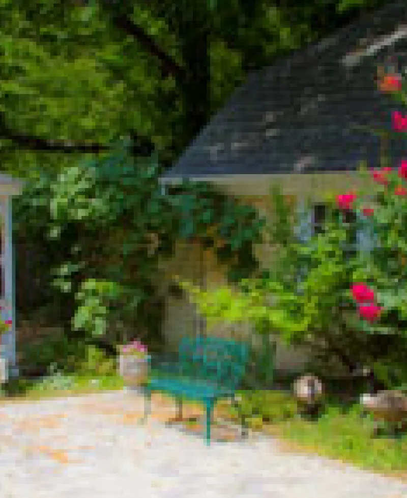 Paradise Bed and Breakfast exterior Photo