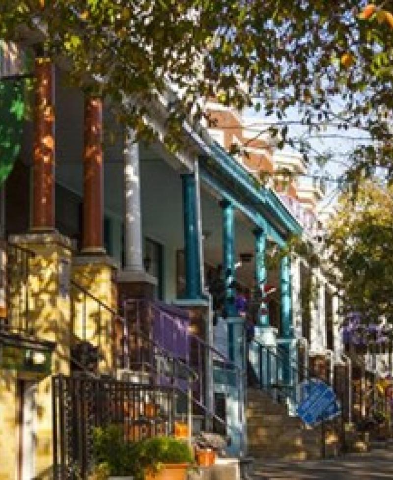 The Avenue in Hampden