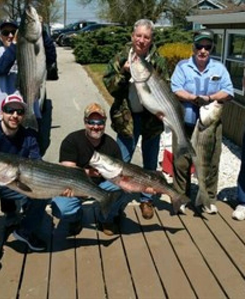 great bass catch Photo