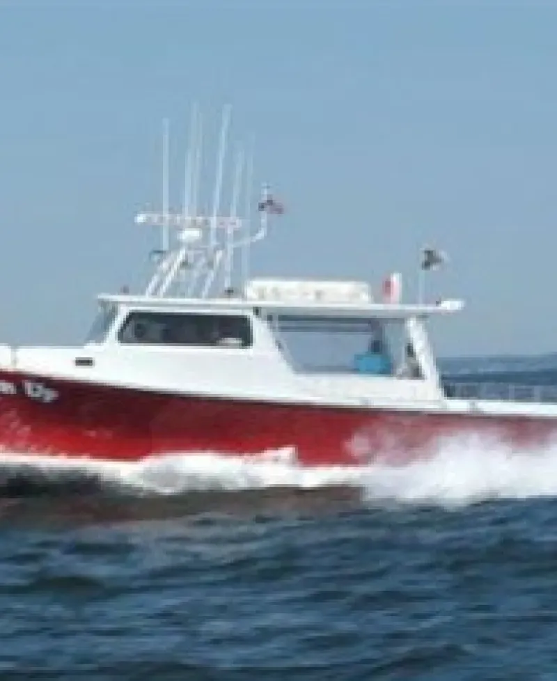 Loosen Up Charterboat on the Bay Photo