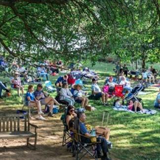 A crowd gathers on a treed hillside Photo