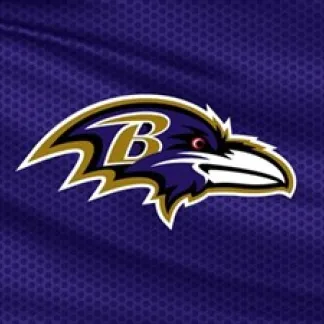 Baltimore Ravens Photo