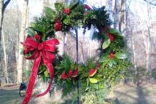 A live wreath with red ribbon Photo
