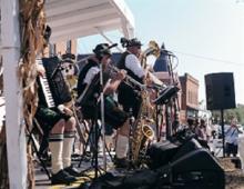 The Edelweiss Band Photo
