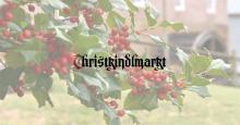 A title in German typeface across holly berries on a historic site. Photo