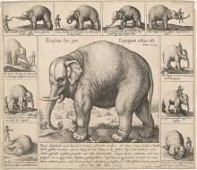 Wenceslaus Hollar (Bohemian, 1607-1677). The Tame Elephant. 1629.  Photo