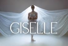 A backlit dancer posing with a veil Photo