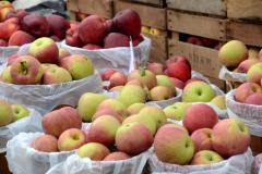 Baskets of Darlington Apples at the Darlington Apple Festival Baskets of Darlington Apples at the Darlington Apple Festival