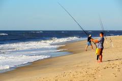 Fish in the Atlantic from peaceful Assateague Island. Fish in the Atlantic from peaceful Assateague Island.
