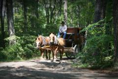 Frontier Town Campground Frontier Town Campground