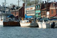 Ego Alley in Annapolis Cruise up in your boat to Ego Alley, or come on foot and marvel at the beautiful boats.