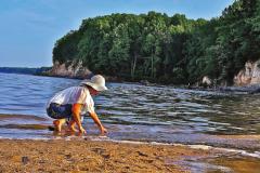 Beach at Calvert Cliffs State Park