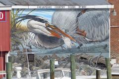 Chesapeake County Mural Trail Bird Mural