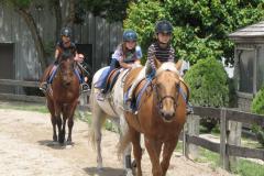 Columbia Horse Center Columbia Horse Center