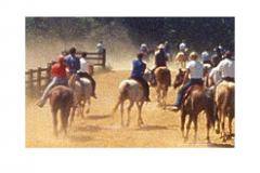 Group of riders head out from Piscataway Stable Horse and Riders head out at Piscataway Stable